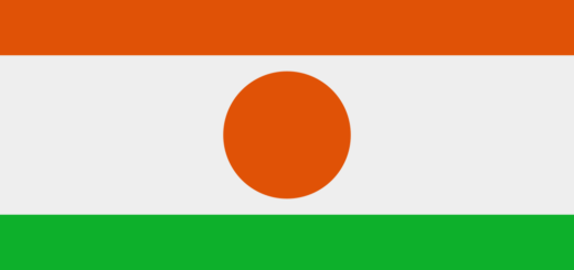 🇳🇪 Niger Emoji Meaning