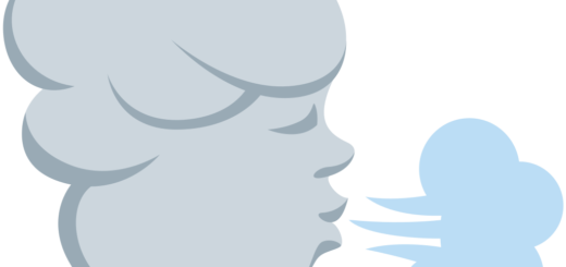 🌬 Wind Face Emoji Meaning