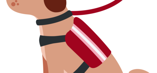 🐕‍🦺 Service Dog Emoji Meaning