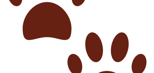 🐾 Paw Prints Emoji Meaning