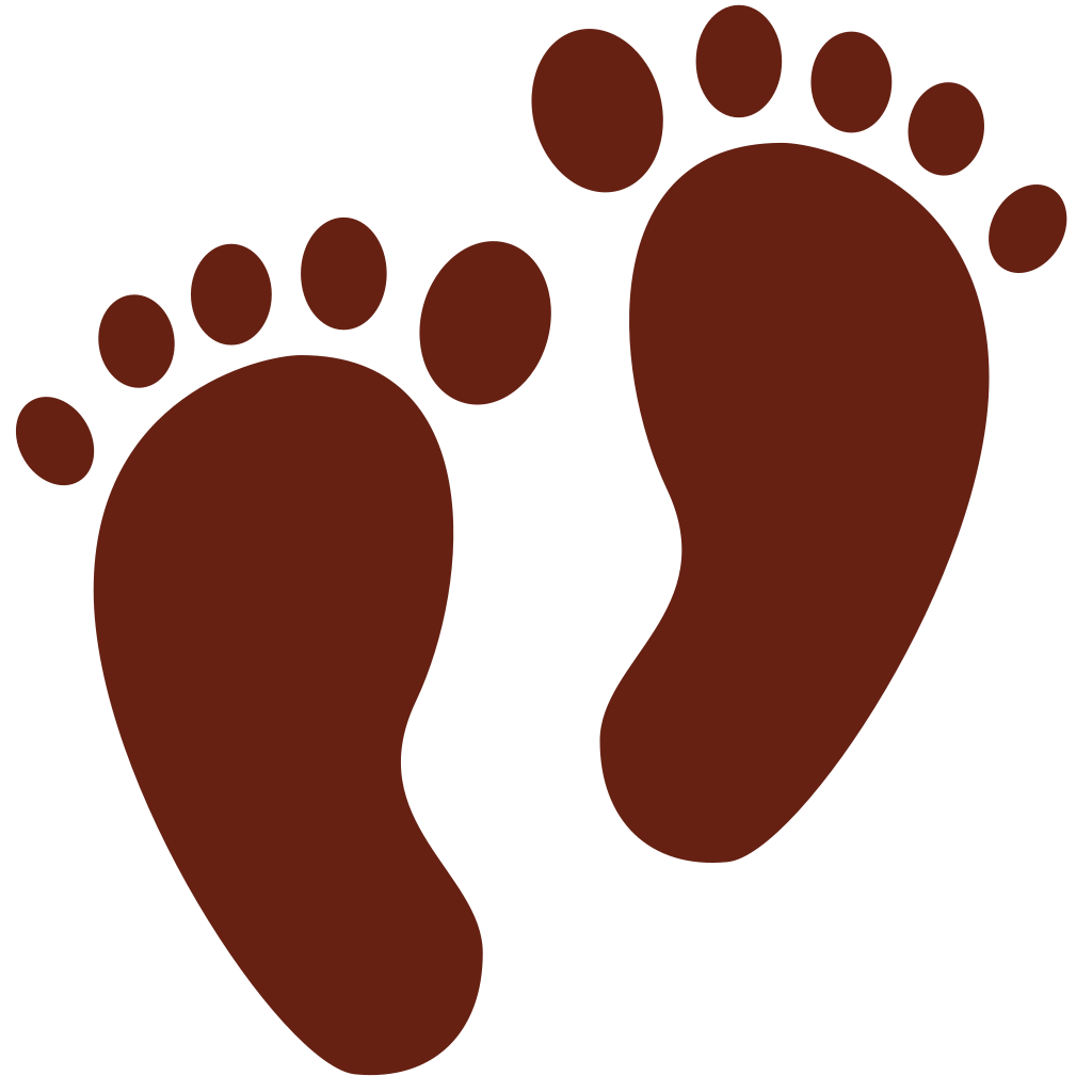 👣 Footprints Emoji Meaning