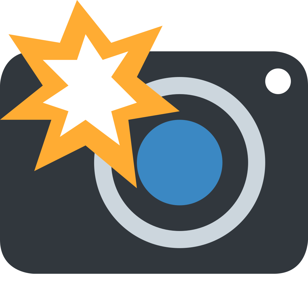 📸 Camera with Flash Emoji Meaning