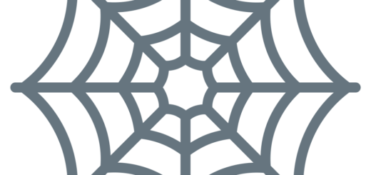 🕸 Spider Web Emoji Meaning