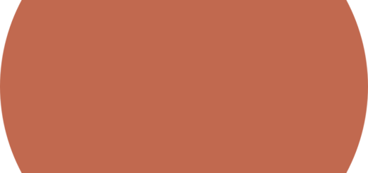 🟤 Brown Circle Emoji Meaning