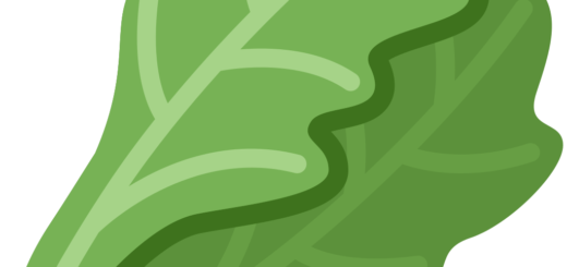 🥬 Leafy Green Emoji Meaning