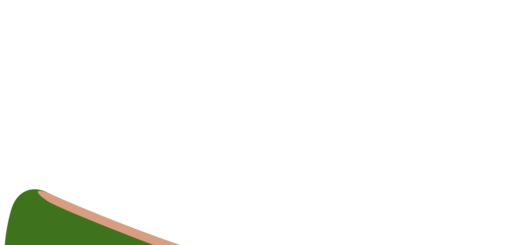 🥿 Flat Shoe Emoji Meaning