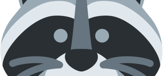 🦝 Raccoon Emoji Meaning