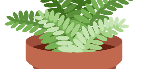 🪴 Potted Plant Emoji Meaning