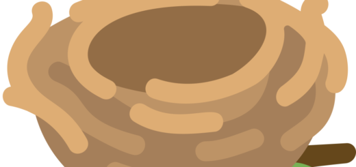 🪹 Empty Nest Emoji Meaning