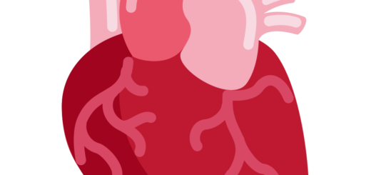 🫀 Anatomical Heart Emoji Meaning